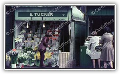 (1970s) E. Tucker Flower Stall - Mill Lane Market