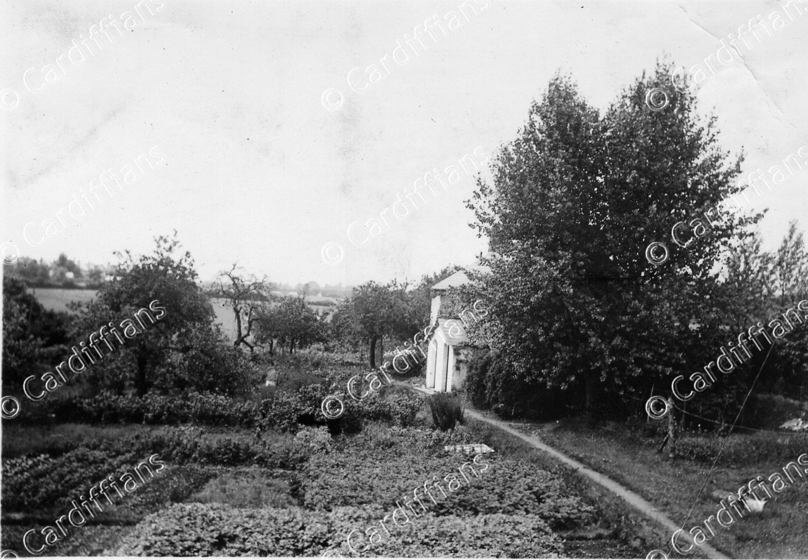 Llanishen and Ty Glas Image Gallery Cardiffians.co.uk