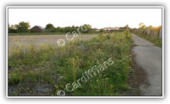 (2015) Ely Paper Mill Redevelopment Site (01 of 06)