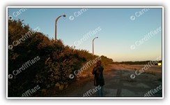 (2015) Ely Paper Mill Redevelopment Site (05 of 06) - Old railway lights